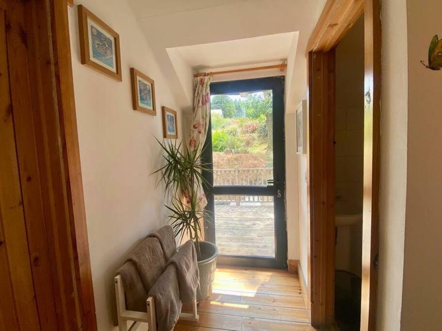 Kingsford Renovated Old Cottage Wexford Exteriér fotografie