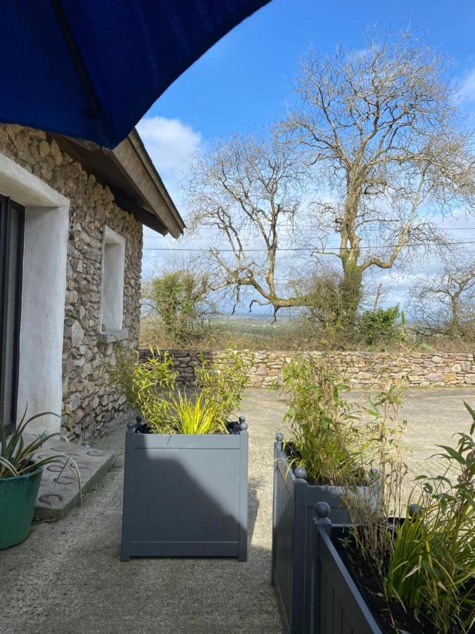 Kingsford Renovated Old Cottage Wexford Exteriér fotografie