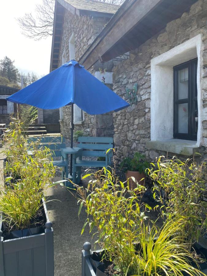 Kingsford Renovated Old Cottage Wexford Exteriér fotografie